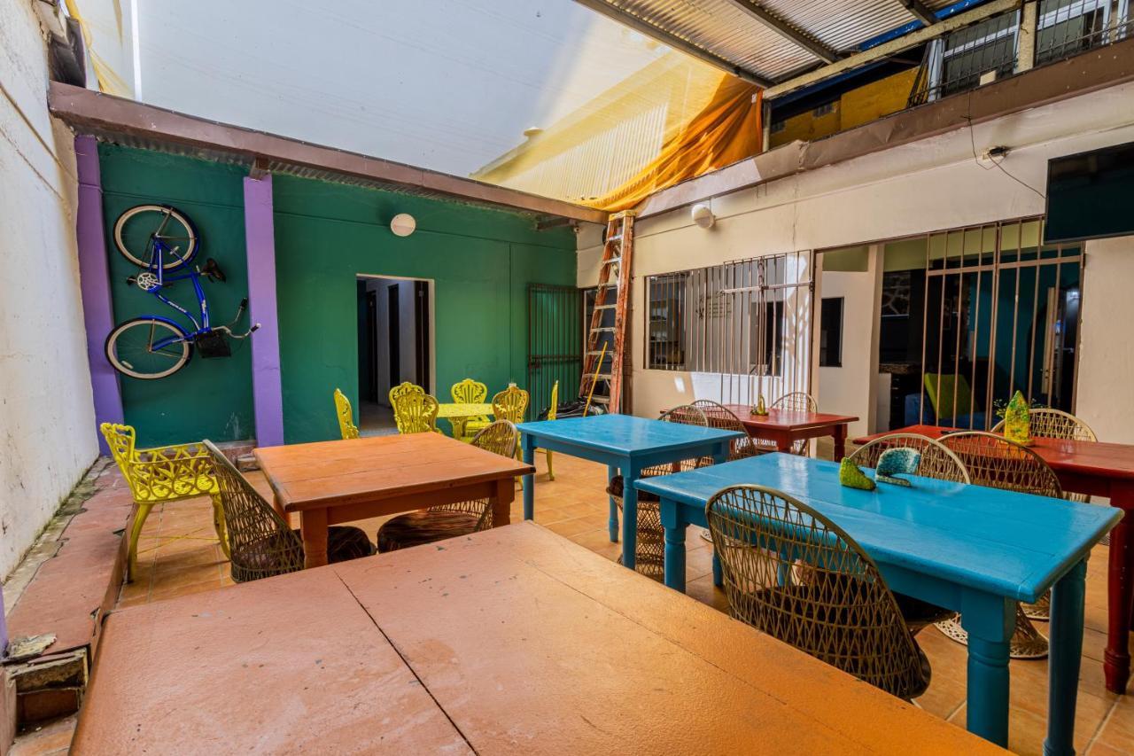 Casa 33